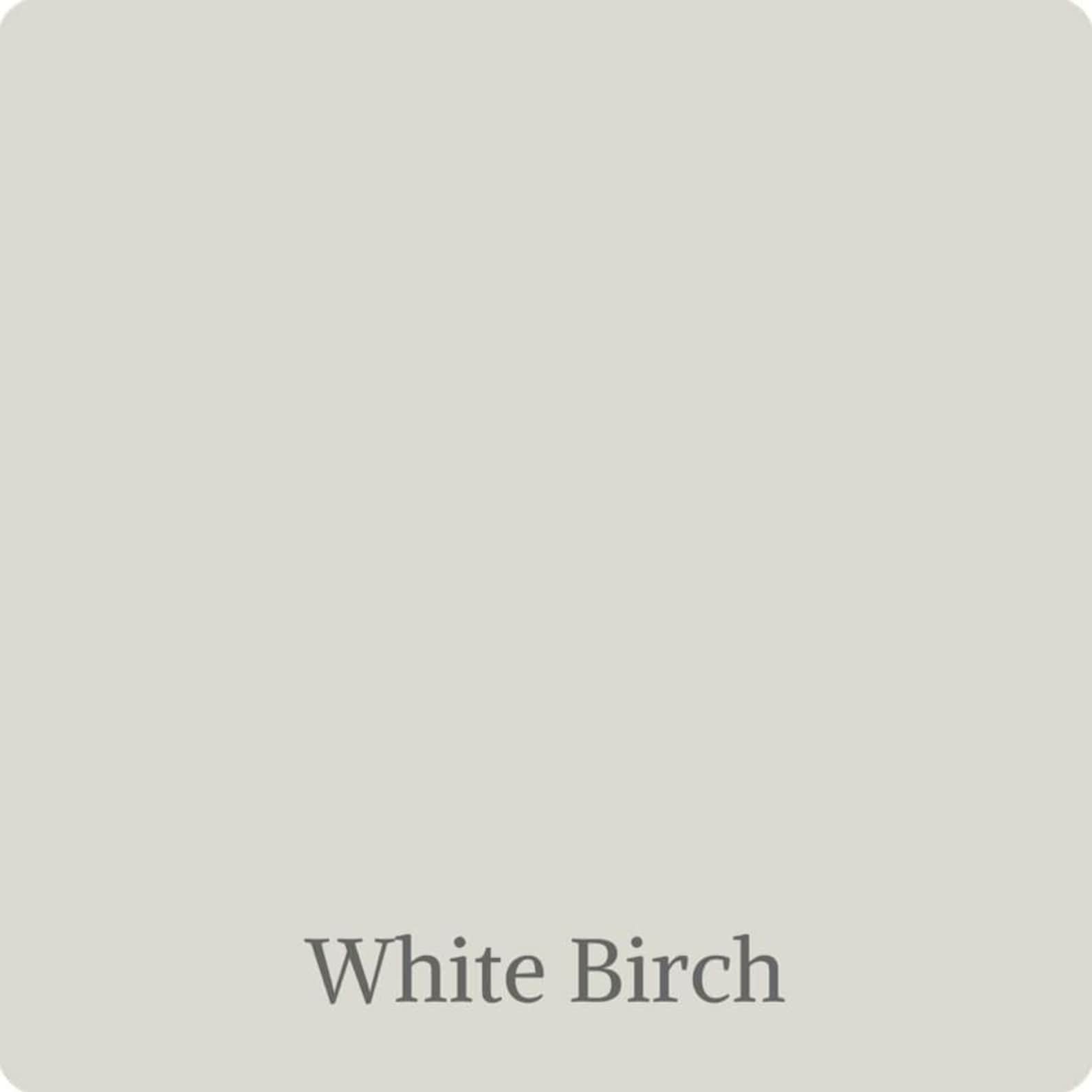 White BirchWise OwlOne Hour Enamel Paint Quart 2020 Color Etsy