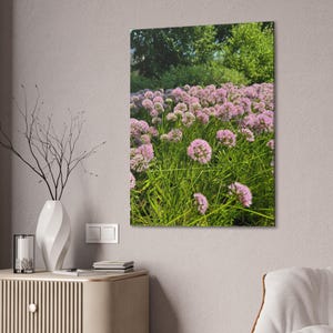 Pink Floral Canvas, Wall Art, Canvas Wall Art, Pink Flower Canvas, Pink Floral Poster, Natural Poster, Photography, Nature Canvas