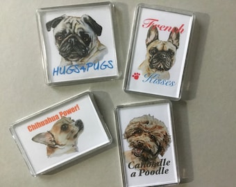 Imanes acrílicos para nevera: Pug, Caniche, Chihuahua y Bulldog Francés.