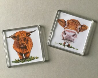 Cow Acrylic Fridge Magnet - Cute Highland Cow Decor