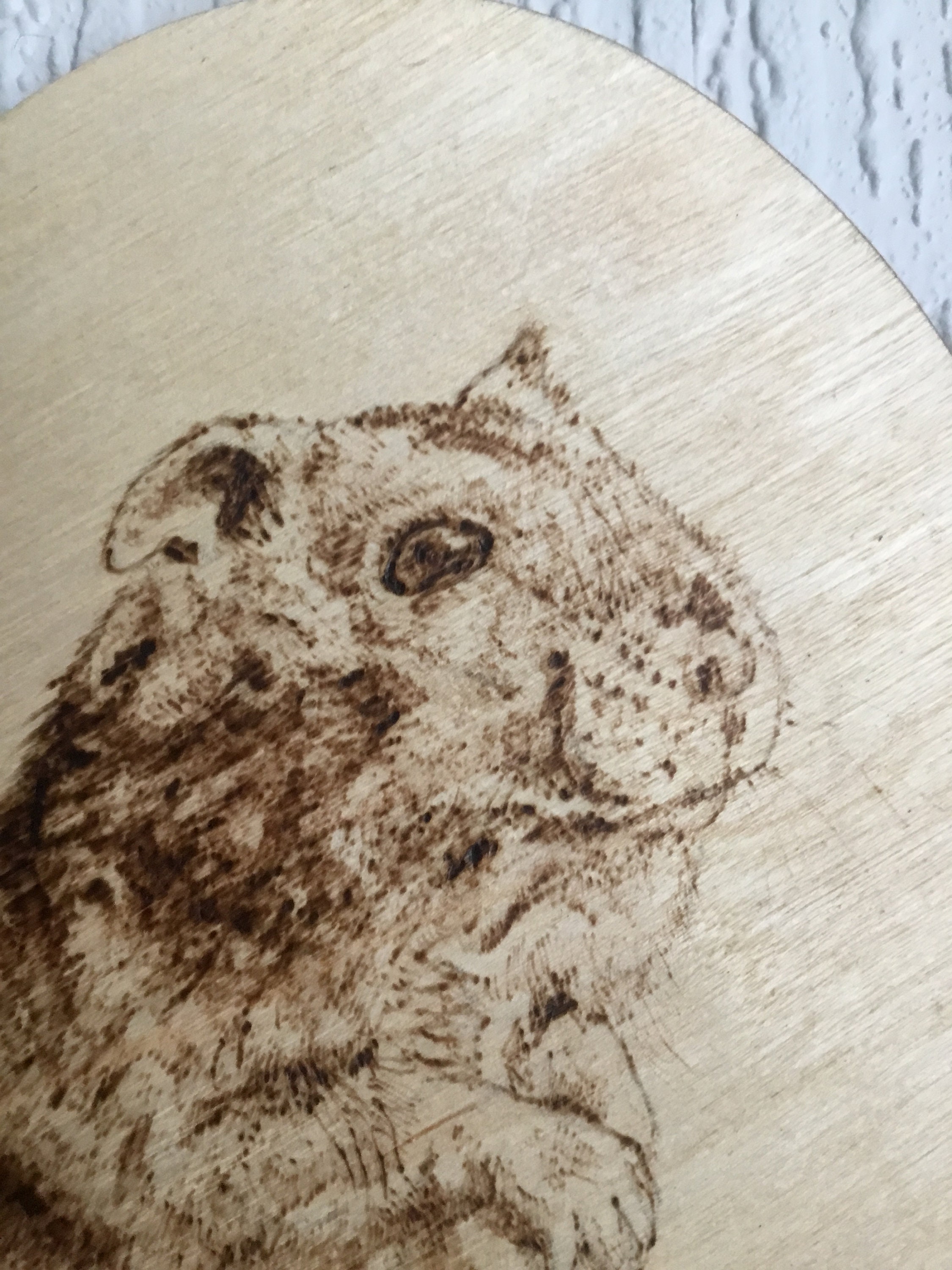 Pyrography Mice Wee Mouse Hand Drawn Pyrography - Etsy