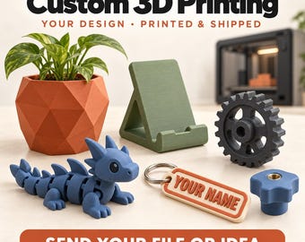 Könnte beinhalten: Eine Sammlung von 3D-gedruckten Objekten, darunter ein geometrischer orangefarbener Pflanztopf mit Pflanze, ein grüner Handyhalter, ein dunkelgraues Zahnrad, eine blaue bewegliche Drachenfigur, ein Schlüsselanhänger mit Text YOUR NAME und ein blauer Knopf.