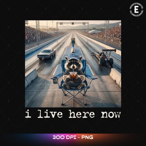 Puede incluir: Impresión artística digital que muestra un mapache con gafas de sol y gorra, sentado en una silla plegable azul en una carrera de aceleración, sosteniendo una bebida. El texto "i live here now" está en la parte inferior.