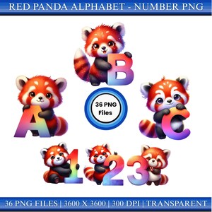 May include: Digital illustrations of red pandas holding colorful letters and numbers. The image includes the letters A, B, and C, and the numbers 1, 2, and 3. The text "RED PANDA ALPHABET - NUMBER PNG" is at the top.