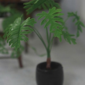 Puede incluir: Una planta artificial en miniatura en una maceta negra. La planta tiene hojas verdes brillantes, de forma intrincada, y un tallo marrón. La maceta tiene una forma simple y redondeada. El texto "MinibyAnki" es visible en la parte inferior.