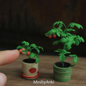 Op de afbeelding: Twee miniatuur tomatenplanten in potten met groene bladeren en kleine rode tomaten. De ene plant staat in een crèmekleurige pot met een rode tomatenafbeelding, de andere in een groene pot. De tekst MinibyAnki is onderaan de afbeelding zichtbaar.