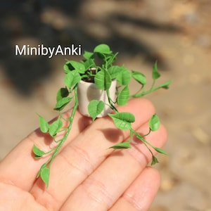 以下が含まれることがあります： 明るい緑の葉とつるを持つミニチュアの鉢植え。小さな白い鉢には植物が入っており、人の手で持たれています。「MinibyAnki」という文字が左上に表示されています。