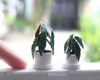 Miniature Begonia made from airdry clay in ceramic pot