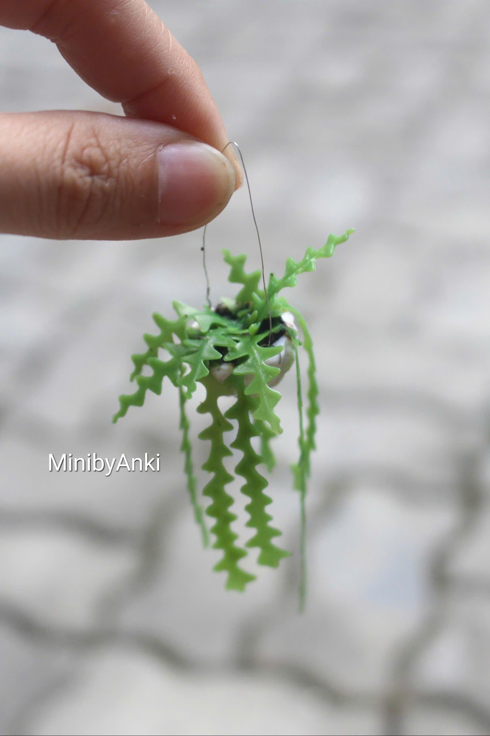 Miniature Fishbone cactus made from airdry clay in a white pot