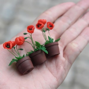 May include: Three miniature potted plants with red poppy flowers. The plants are in brown pots and are arranged on a hand.