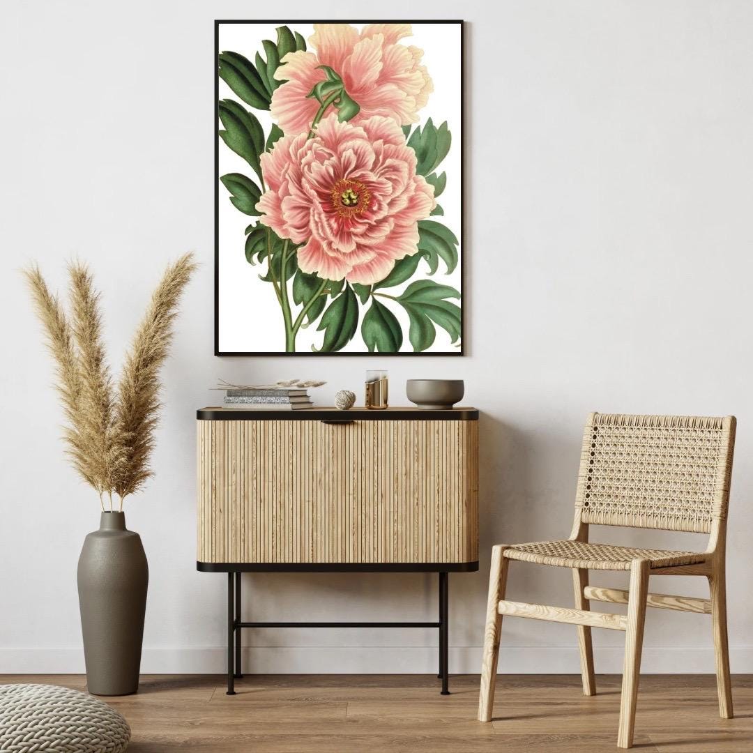 Peony Botanical Print | Digital Download | Antique Floral Illustration ...