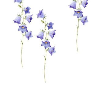Digital Print