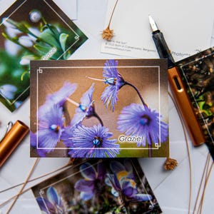 10 thank you cards in Italian – 74×105 mm – with real alpine flower photos I shot in the Dolomites – also in EN & RU – Free US shipping