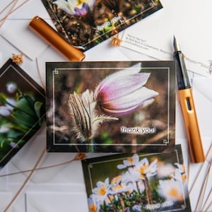 Lot de 10 cartes de remerciement en anglais - 74 × 105 mm - avec de vraies photos de fleurs alpines que j'ai prises dans les Dolomites - également en RU et en informatique - 10 enveloppes