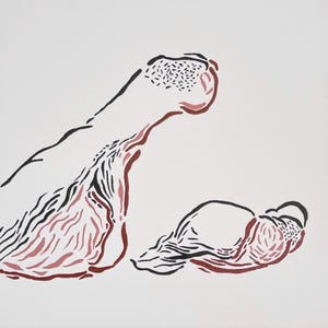 May include: Abstract line art painting of two organic shapes in shades of pink and black on a white background.