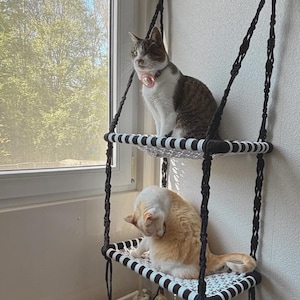 Puede incluir: Dos gatos relajándose en una hamaca a rayas blancas y negras que cuelga del techo. La hamaca está hecha de macramé y tiene dos niveles. Los gatos están mirando a la cámara.
