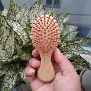 May include: A small, oval-shaped wooden hairbrush with a handle. The brush has light brown bristles and a natural wood finish. The brush is designed for detangling and grooming hair. The background features green and white foliage.