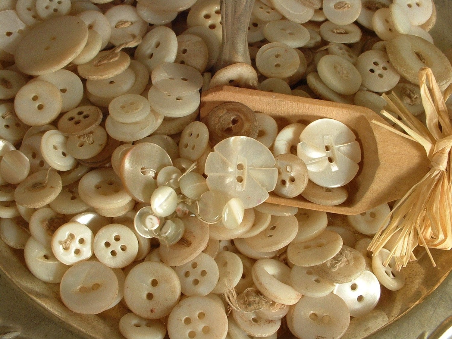 Vintage Antique White Mother of Pearl Buttons Set of 3 Carved 3/4in 2 Hole  Shell