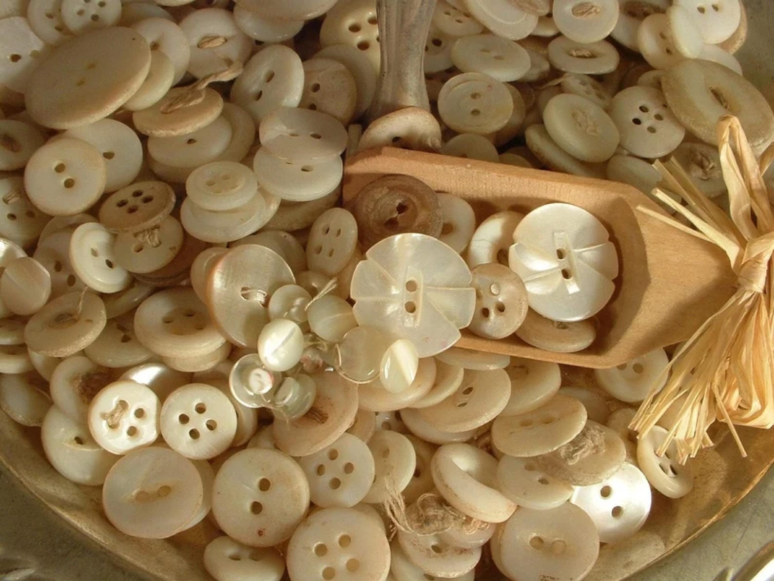 Vintage Mother of Pearl Buttons, Lot of 50 Antique Sewing Buttons, True ...