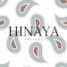 Hina Aly