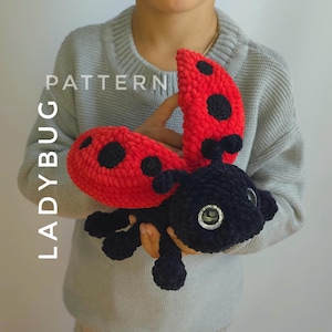 May include: A crocheted ladybug toy with black and red yarn. The ladybug has black eyes and a black body with red wings. The toy is being held by a child wearing a gray sweater.
