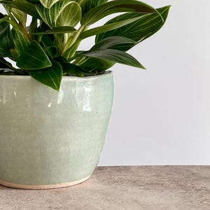 Handmade Ceramic Plant Pot: Pale Green Pottery