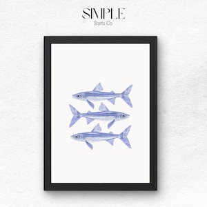 Sardines Wall Art Print Retro Fish Poster Aesthetic Kitchen Wall Art Digital Print Sardine Poster Housewarming Coastal Decor Gift for Her