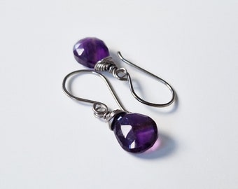 Amethyst Titanium Earrings, Niobium Wire Wrapped Purple Gemstone Earrings for Sensitive Ears, Hypoallergenic Nickel Free Earrings