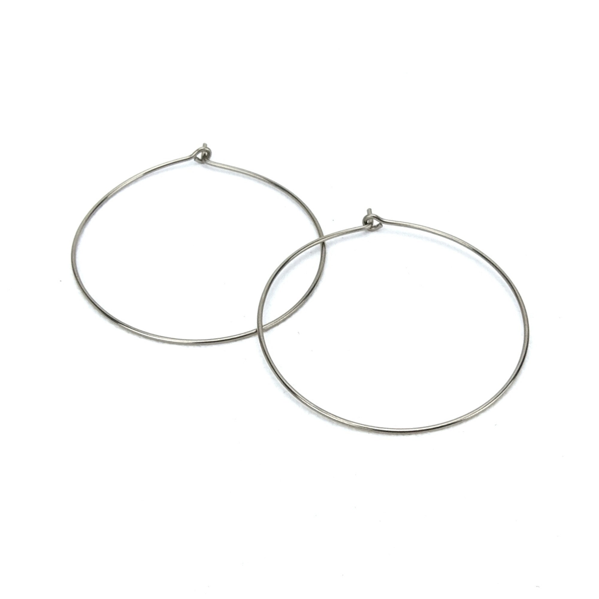 Pure Titanium Earrings / Hypoallergenic Hoop Earrings / Allergy Free Earrings Hoops - Small Double Silver Plated Hoop Dangle Titanium