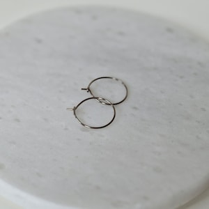Small Titanium Hoops, 0.75 Inch Hoop Earrings, Nickel Free Silver Color Hoops, Hypoallergenic Earrings for Sensitive Ears