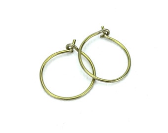 Small Gold Niobium Hoops for Sensitive Ears, Hypoallergenic Nickel Free Hoop Earrings, Yellow Gold Anodized