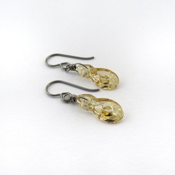 Etsy titanium shop earrings