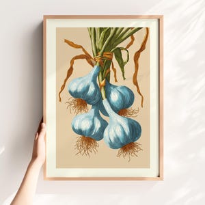 Vintage Garlic Kitchen Wall Art – Blue Botanical Garlic Print, Farmhouse Kitchen Decor, Rustic Digital Herb Poster Download