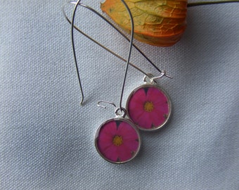 Northport Pink Daisy - Sterling Silver Photograph Earrings