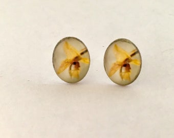 Costa Rica Orchid.  Sterling Silver Photograph Earring Studs
