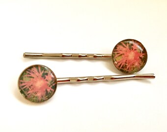 Elk Rapids Aster - Photograph Bobby Pins