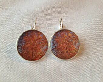 Charlevoix Tree - Lever Back Short Photograph Earrings.