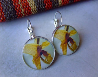 Costa Rican Orchid. Lever Back Photograph Earrings.