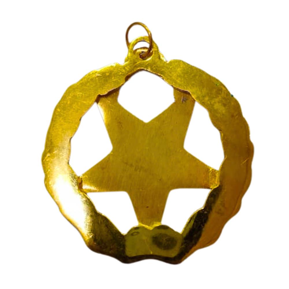OES Grand Associate Matron Jewel Colorful Five Pointed Star Pendant ...