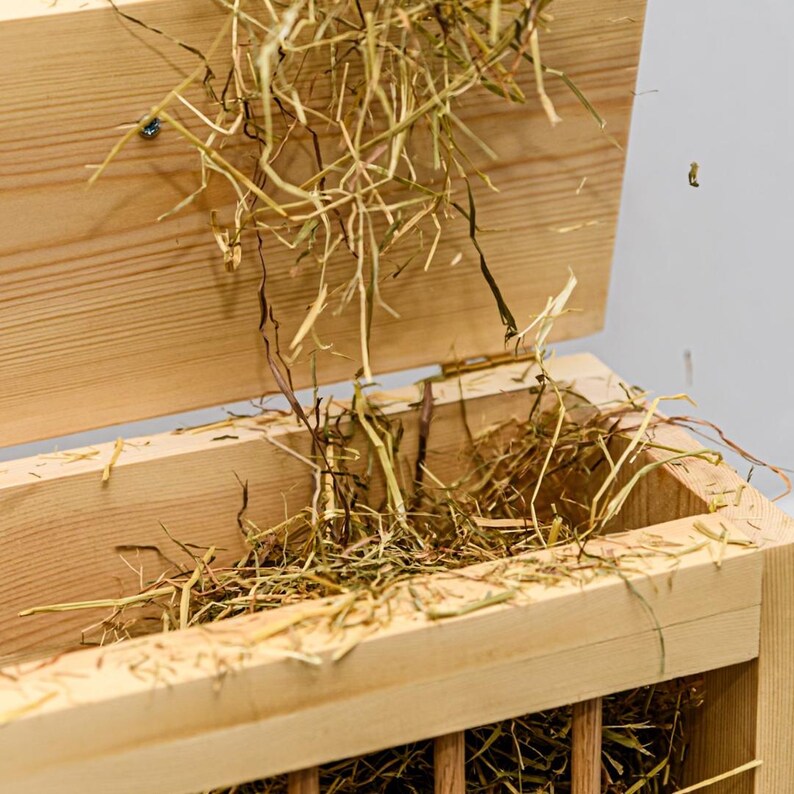 Picture of Luxury Rabbit Hay Feeder - Etsy