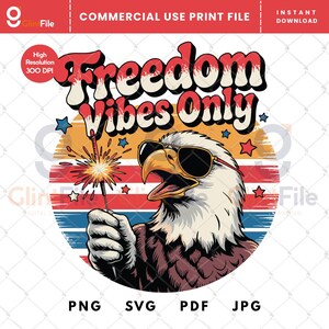 Freedom Vibes Only Png, USA Bald Eagle Png, 4th Of July Sublimation Design, America Png, American Eagle Sublimation, Patriotic Eagle Png