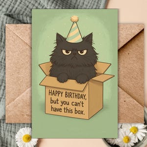 Carte d'anniversaire drôle de chat Chat noir grincheux dans une boîte Carte d'humour impertinente pour les amoureux des chats Joyeux anniversaire, mais tu ne peux pas avoir cette boîte chat sarcastique