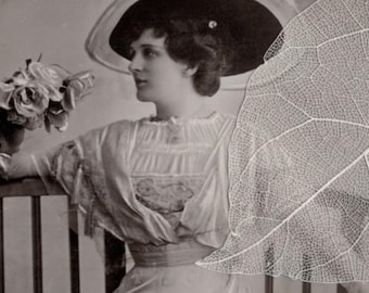 UNUSED Pre 1910 EVELYN MILLARD