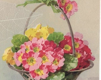 Carte postale ancienne des années 1910 Joli rose jaune et rouge des années 1910 dans un panier en treillis, carte postale ancienne signée Catharina Klein