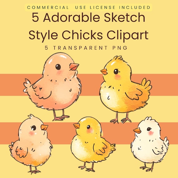 Hand-Drawn Baby Chicks Clipart | Set of 5 Adorable Sketch-Style Chicks | Digital Download
