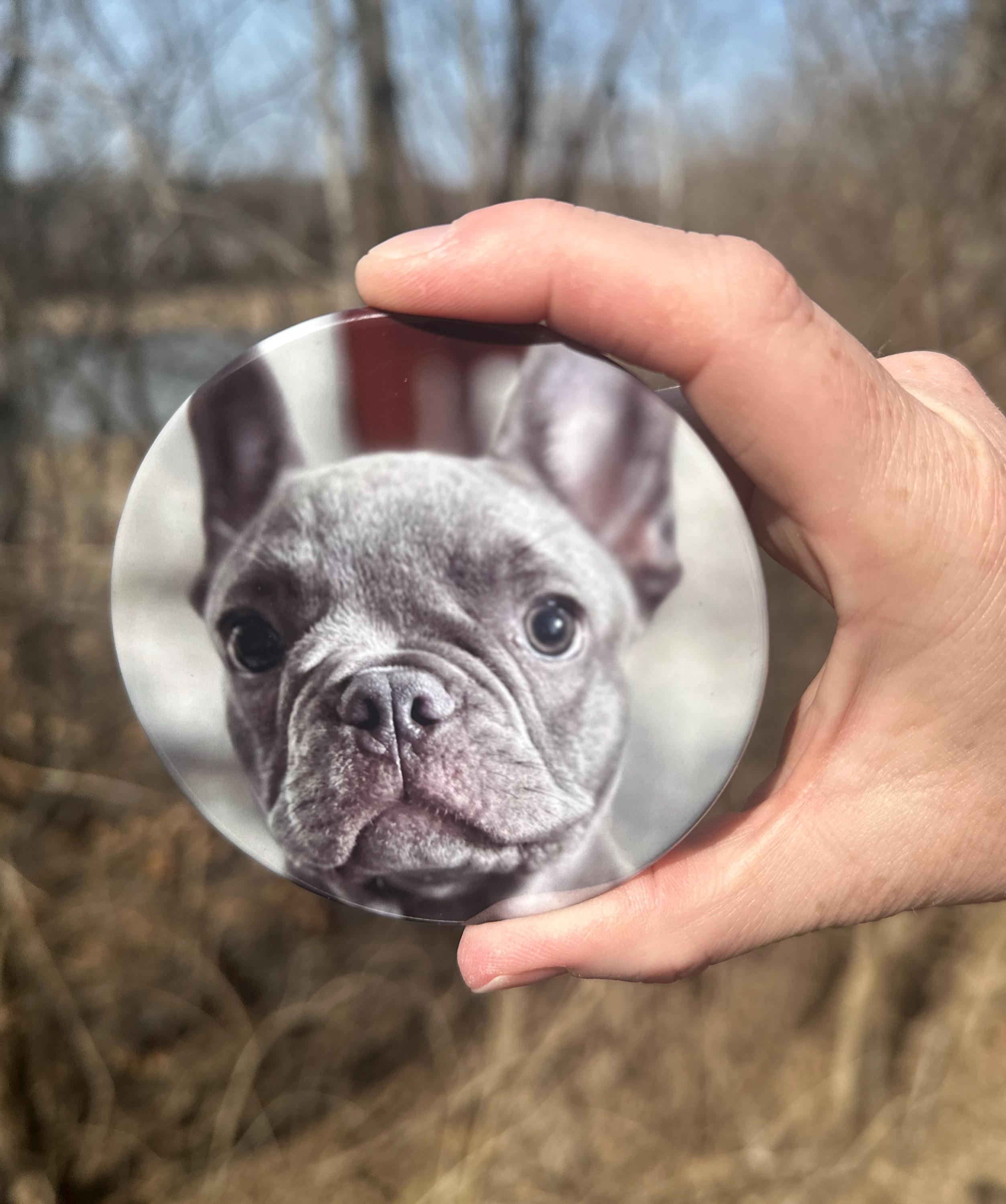 French Bulldog Magnetic Vinyl Decal - 5 Inch Car & Fridge Magnet