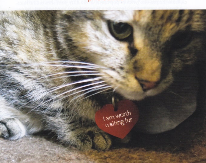 How to Talk to Your Cat About Abstinence zine Etsy