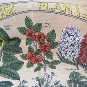 Irlandés lino casa plantas vintage cocina toalla decoración