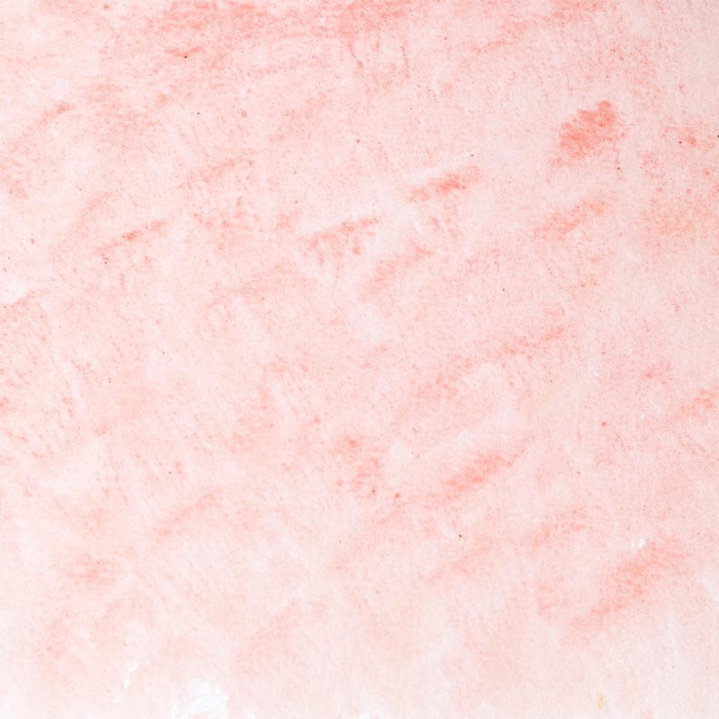 Watercolor painting in soft rose Madder Lake Light, a delicate version of madder root pigment (Rubia tinctorum), historically used for fine glazes and portrait work. Handcrafted with honey and gum arabic. Transparent and lightfast, ideal for botanical illustration, soft pink tones, and traditional European palettes.