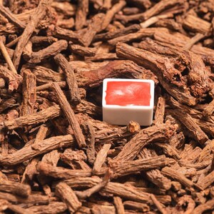 Madder Lake Light watercolor half pan resting on dried madder roots, the botanical source of its brilliant, warm red pigment. This handmade artist-grade watercolor is crafted from fermented madder root and laked using traditional techniques for rich, lightfast color. Perfect for natural pigment lovers, historical palettes, and fine botanical art. For madder lake watercolor, natural red pigments, and handmade eco-friendly artist supplies.